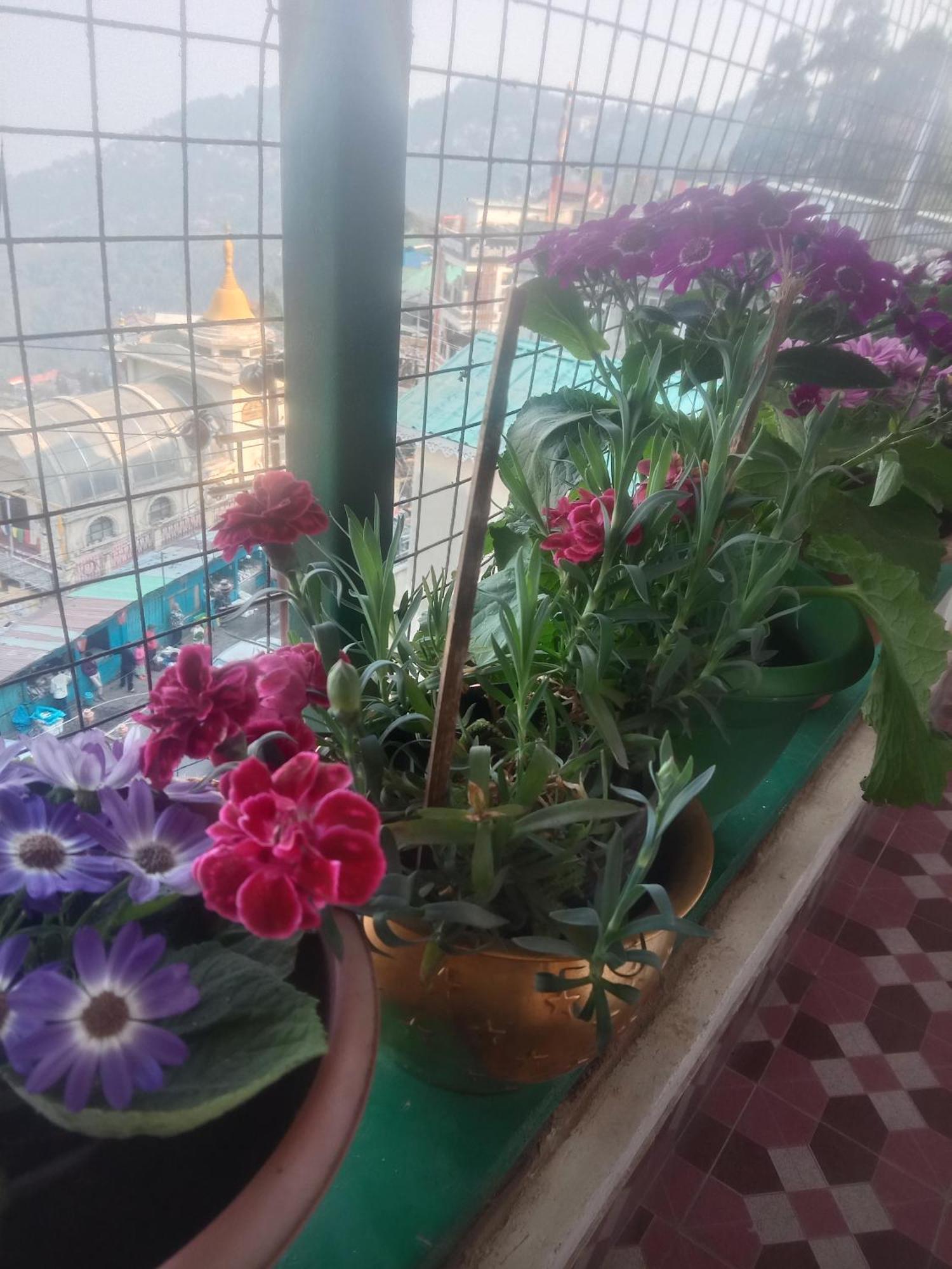 Beverly Hills Home Stay Darjeeling  Buitenkant foto