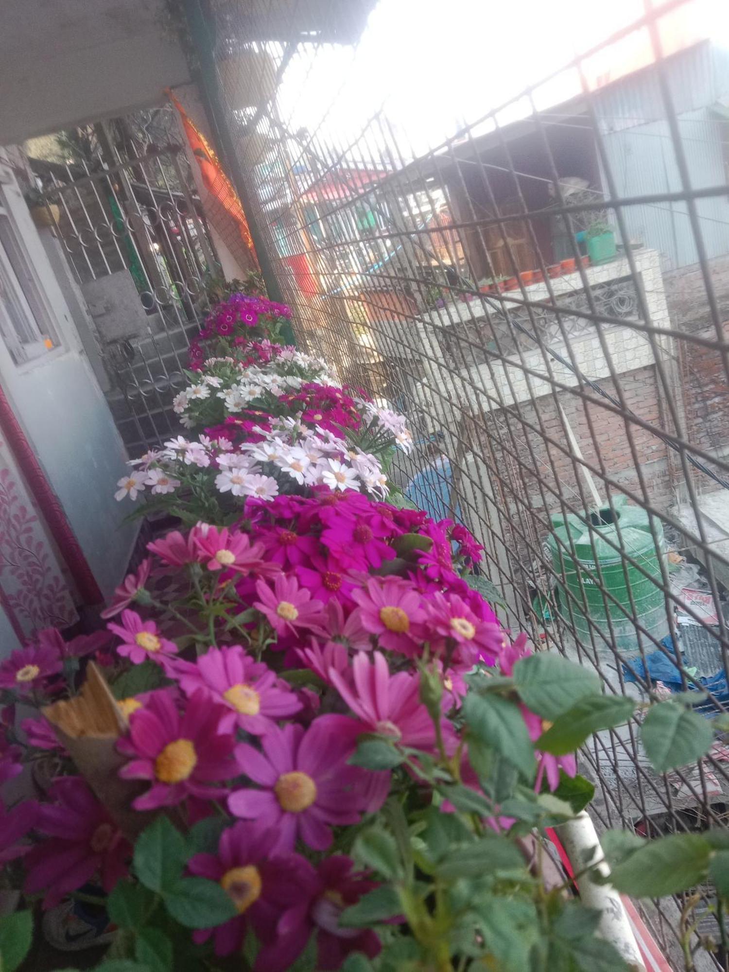 Beverly Hills Home Stay Darjeeling  Buitenkant foto