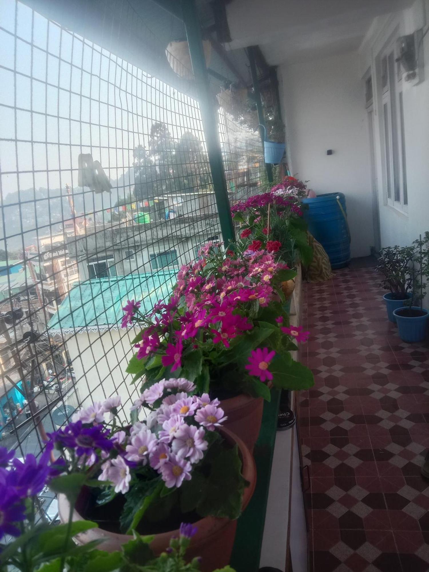 Beverly Hills Home Stay Darjeeling  Buitenkant foto