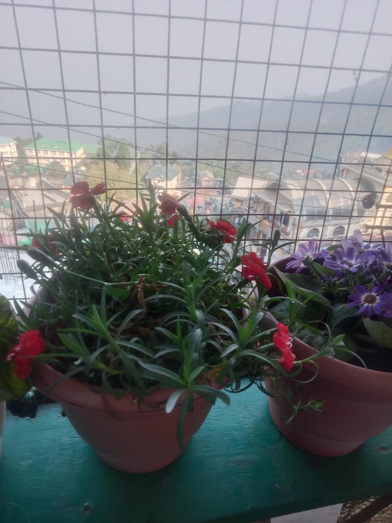 Beverly Hills Home Stay Darjeeling  Buitenkant foto
